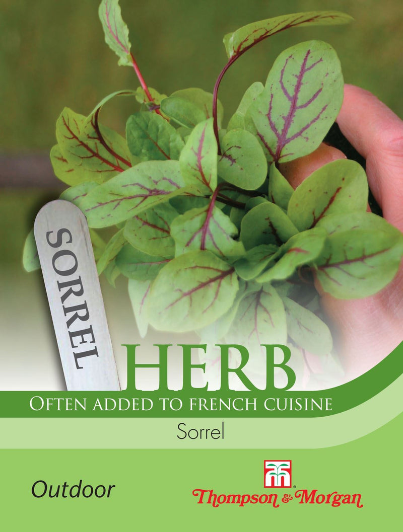 Sorrel Herb Seeds