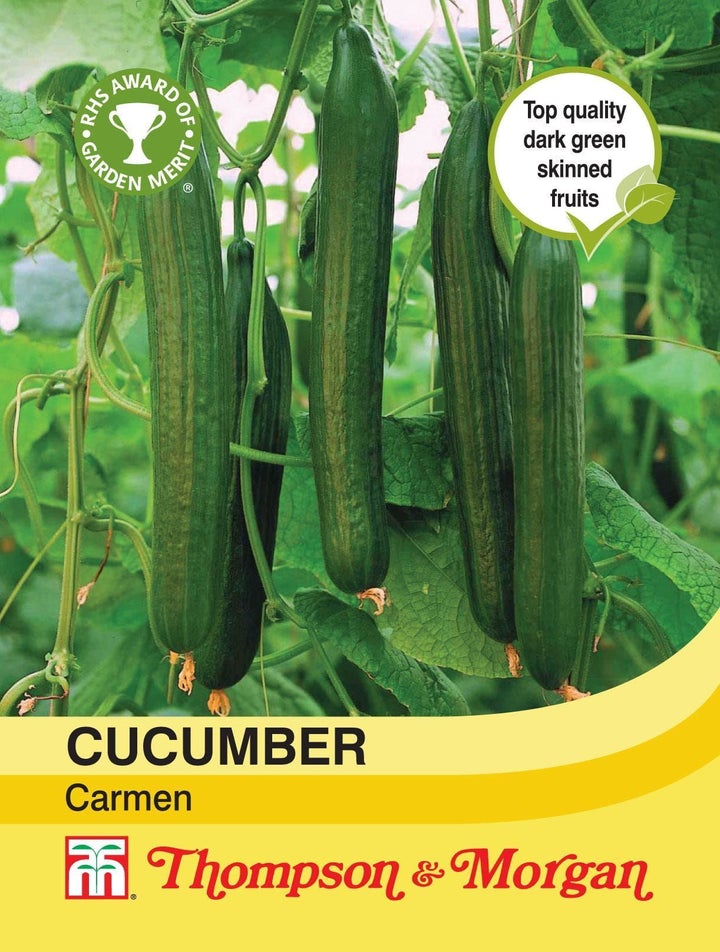 Cucumber Carmen Seeds