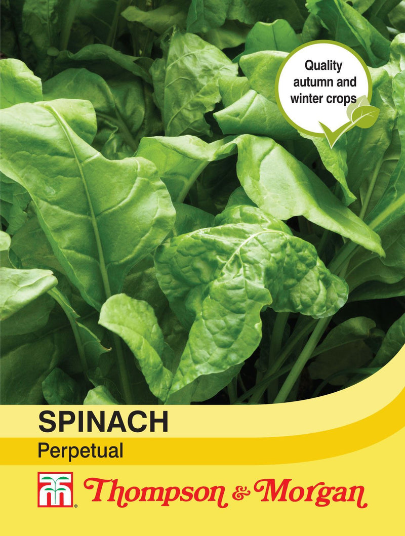 Spinach Perpetual Seeds