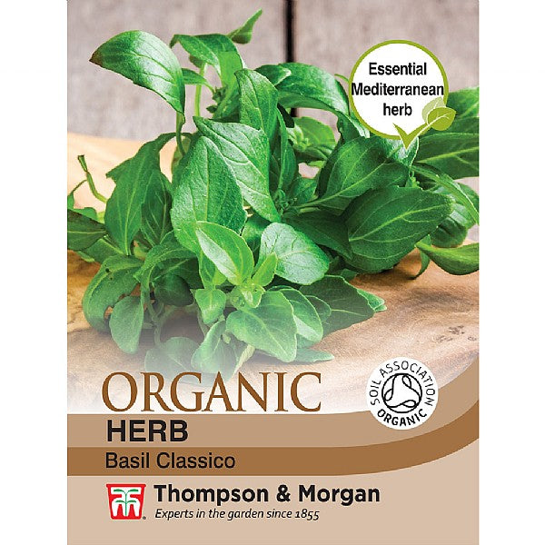 Basil Classico Organic Herb Seeds