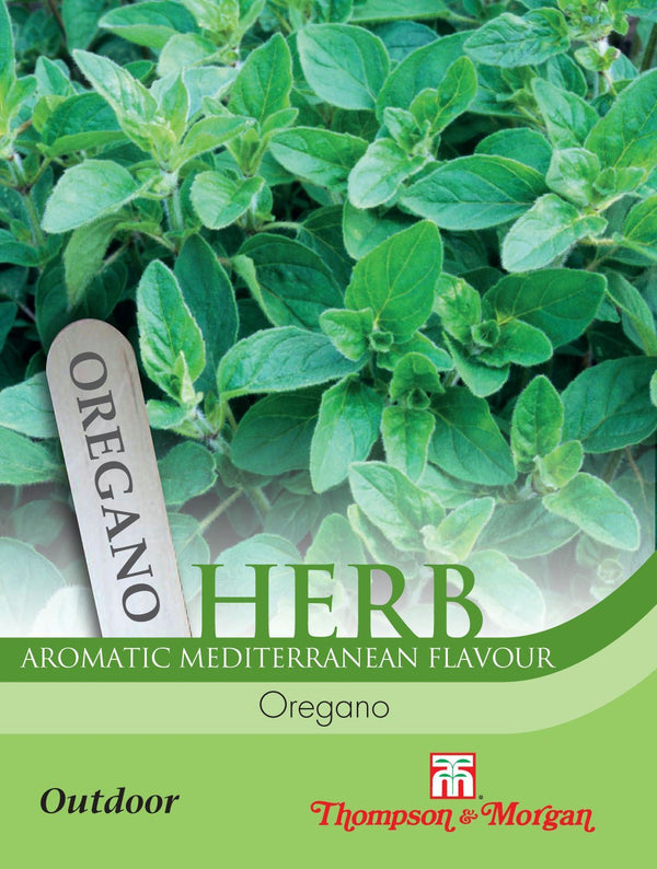 Oregano Herb Seeds