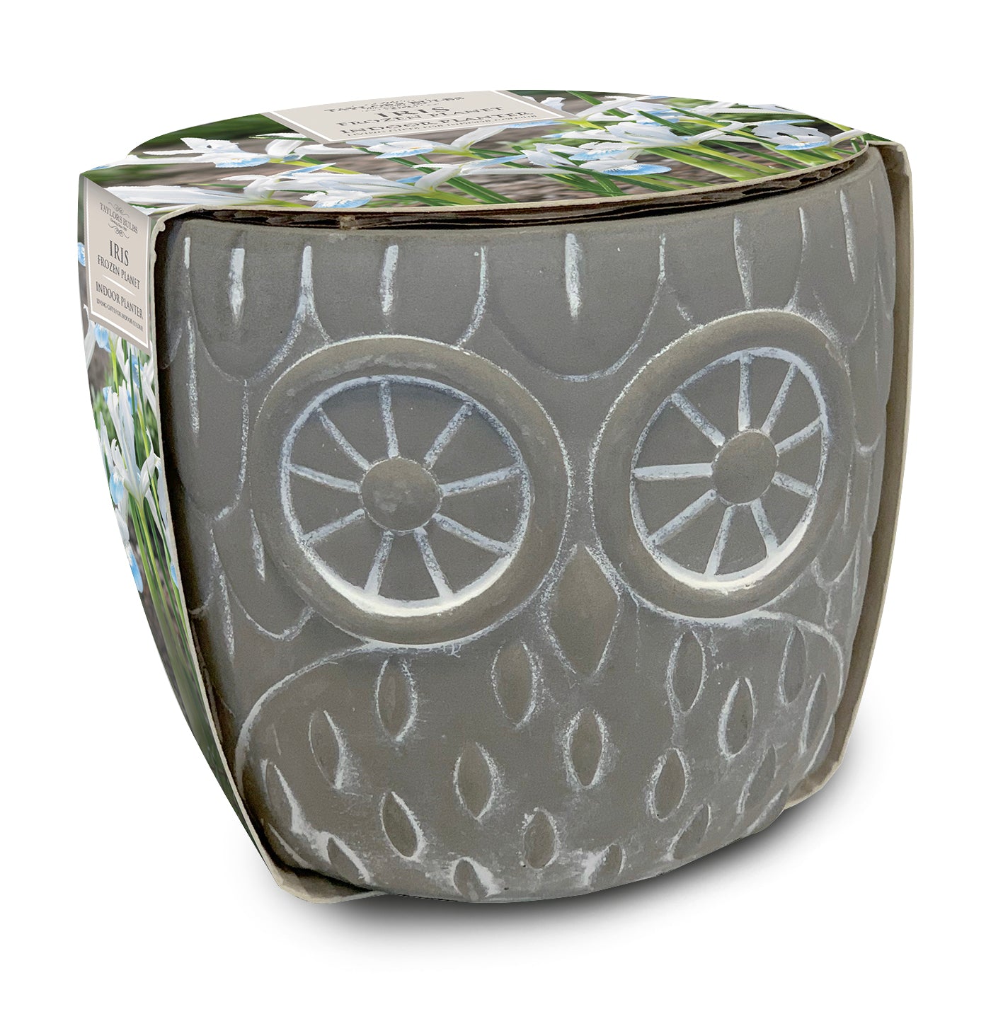 Iris Frozen Planet Planter Owl