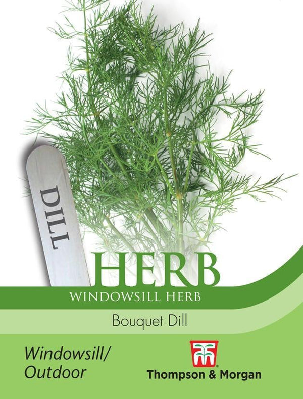 Dill Bouquet Herb Seeds