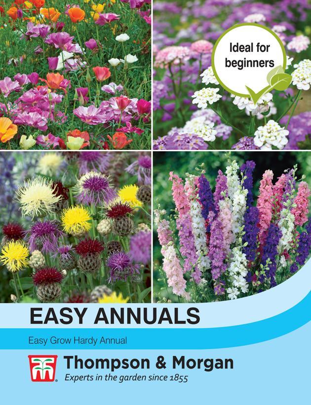 Easy Annuals Flower Seeds