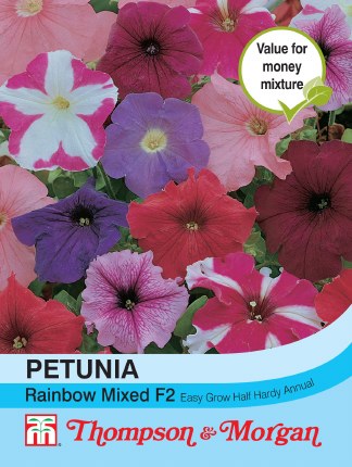 Petunia Rainbow Mixed F2 Hybrid Flower Seeds
