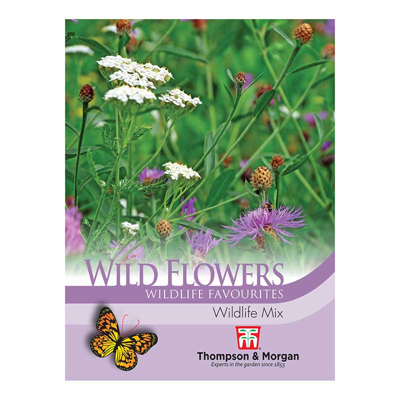 Wild Flower Wildlife Mix Flower Seeds