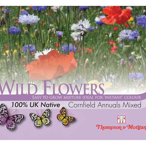 Wild Flower Cornfield Annuals Mixed Flower Seeds