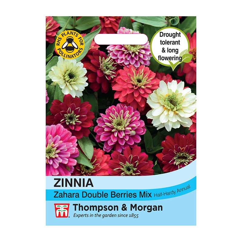 Zinnia Zahara Double Berries Mix Flower Seeds