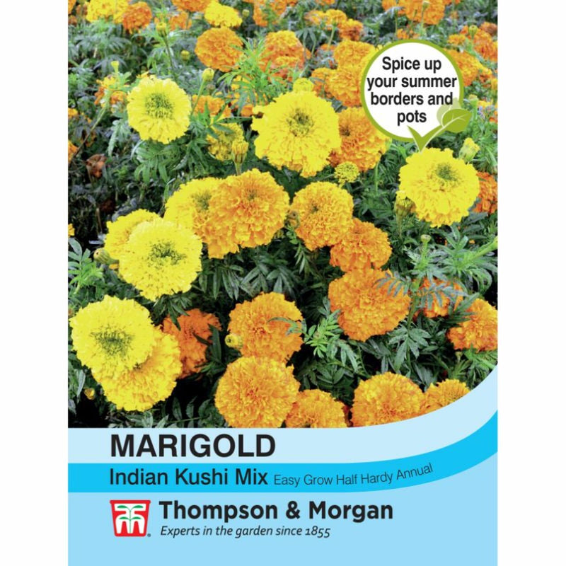 Marigold Indian Kushi Mix Flower Seeds