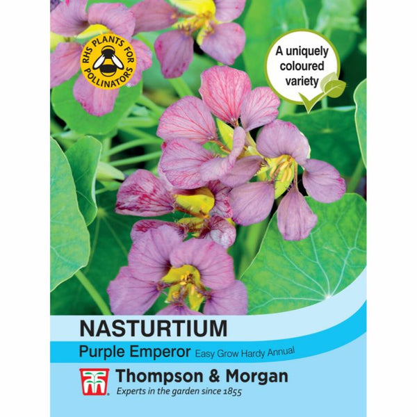 Nasturtium Purple Emperor Flower Seeds