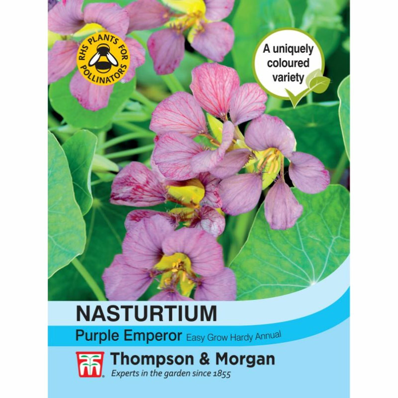 Nasturtium Purple Emperor Flower Seeds