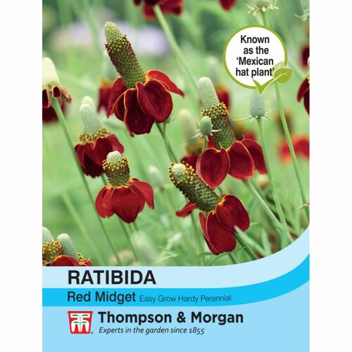 Ratibida Columnifera Red Midget Flower Seeds