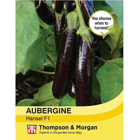 Aubergine Hansel F1 Hybrid Seeds