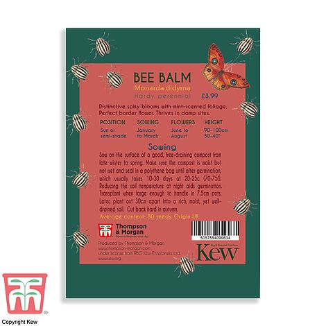 Bee Balm Kew Pollinators Flower Seeds