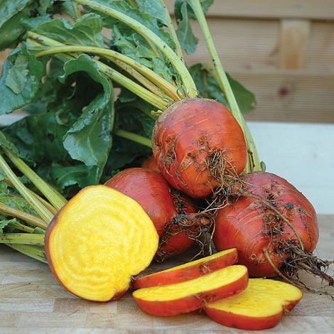 Beetroot Boldor Vegetable Seeds