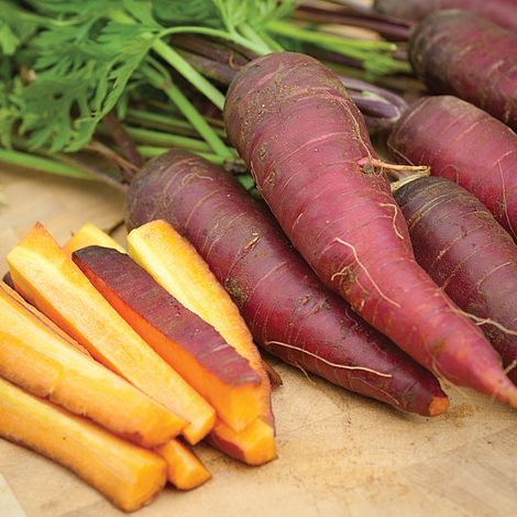 Carrot Cosmic Purple Seeds