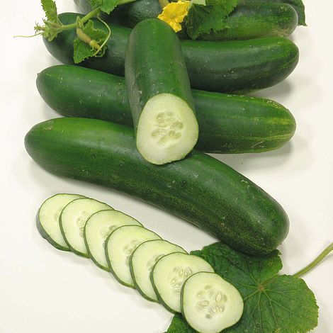 Cucumber Swing F1 Hybrid Seeds