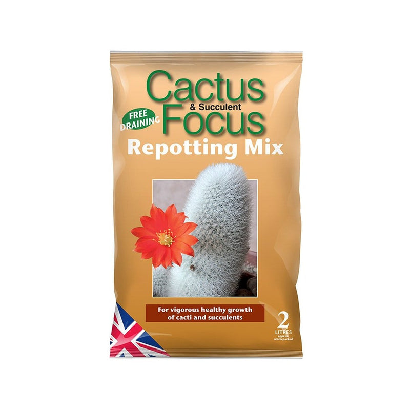 Cactus Repotting Mix 3 Litre | Cornwall Garden Shop | UK