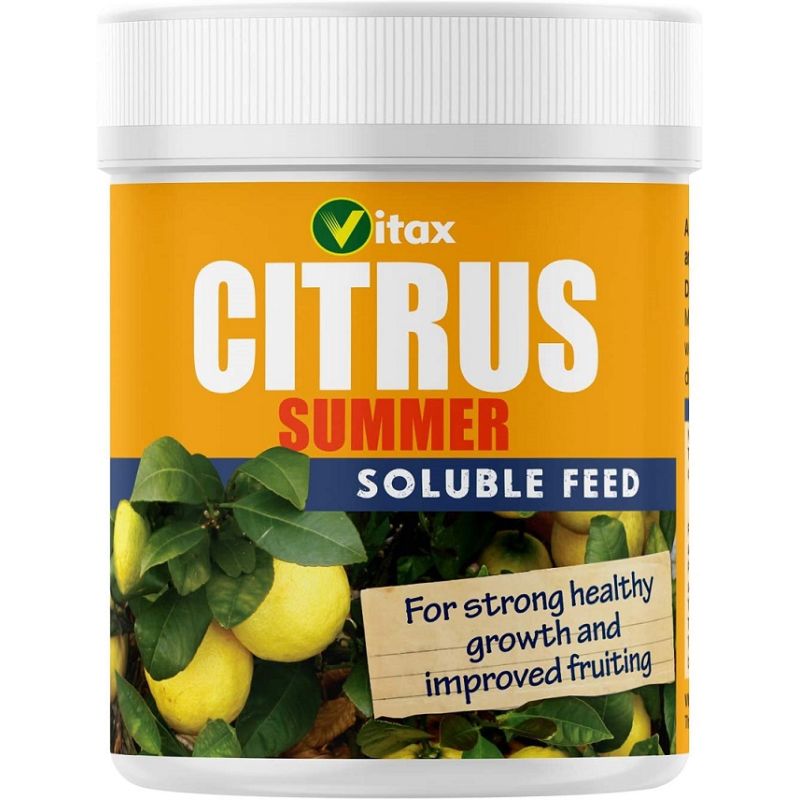 Citrus Summer Feed | Cornwall Garden Shop | UK