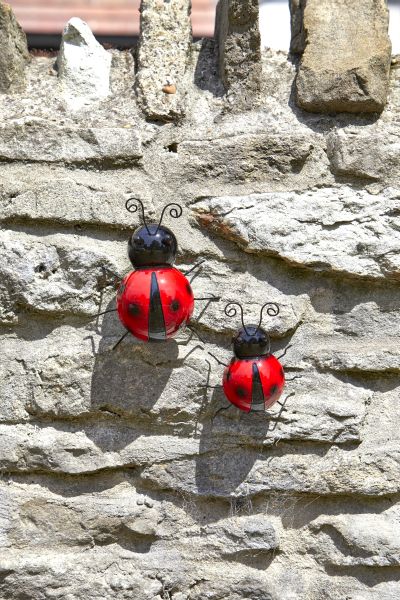 Wall Art Ladybird Large