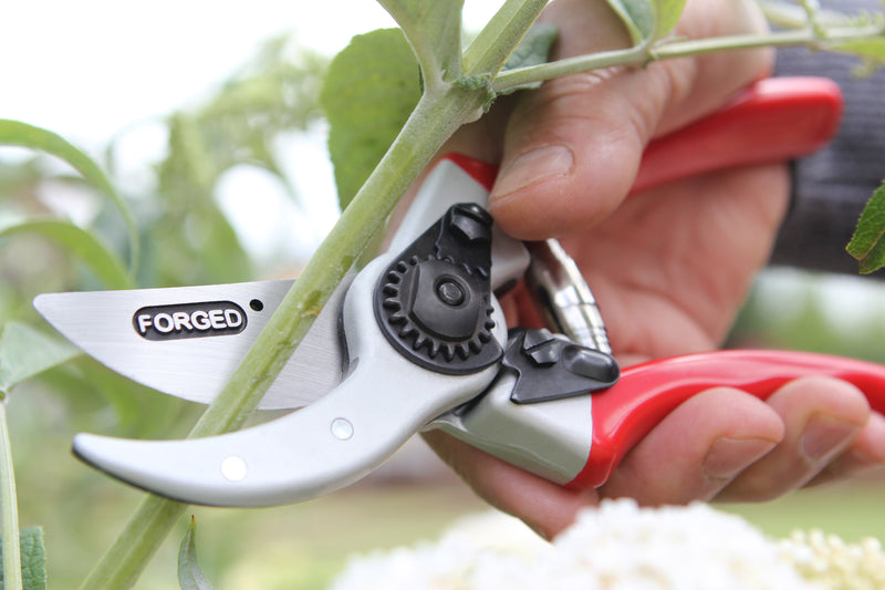 Pruner Drop Forged Compact