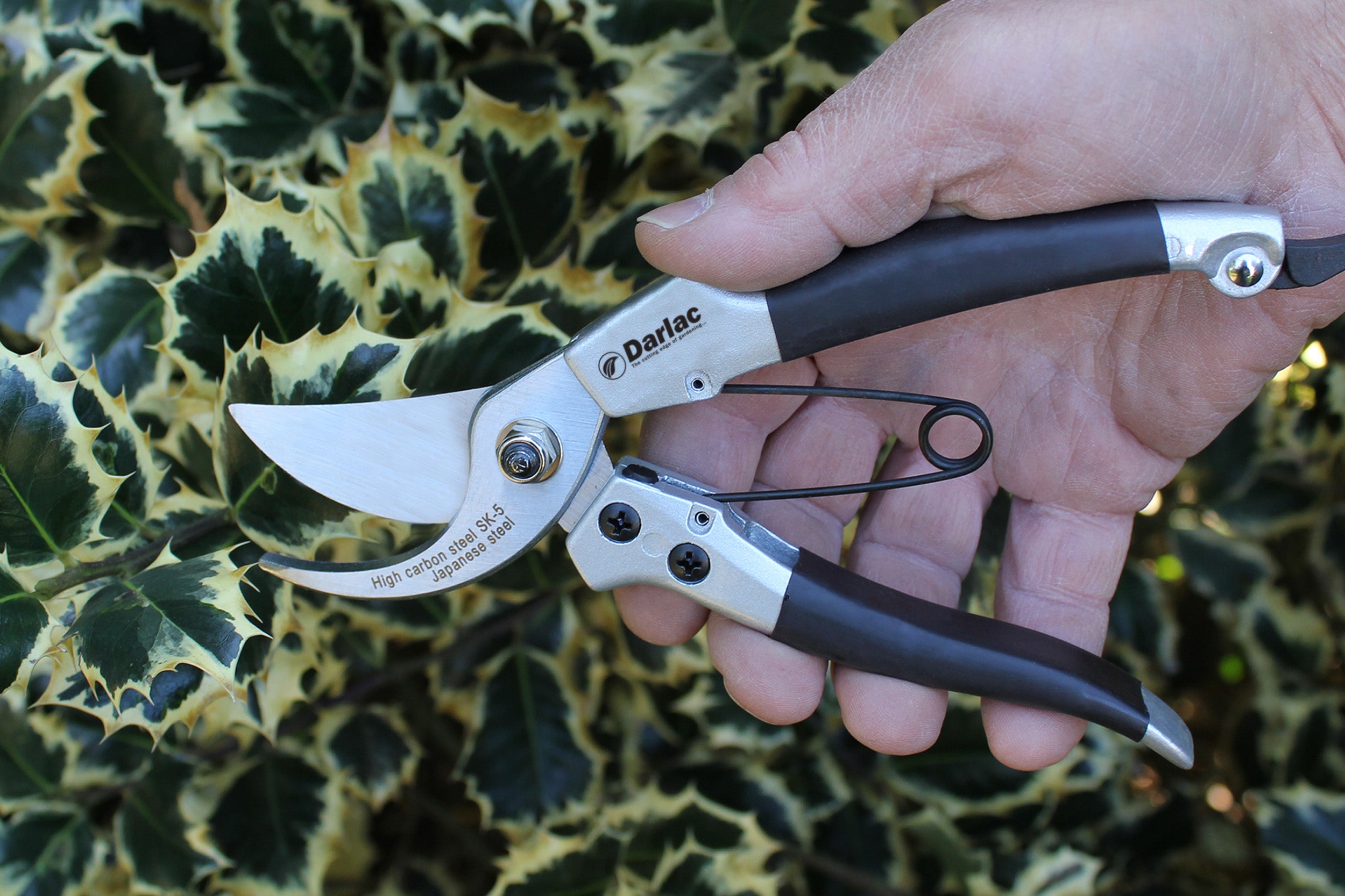 Pruner Compact Plus