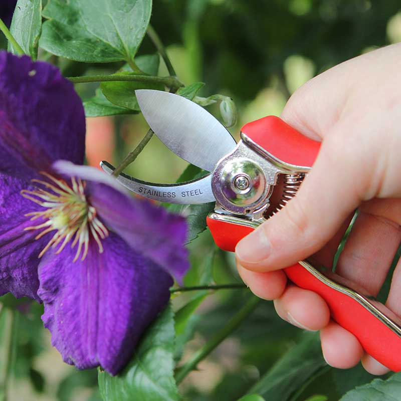 Pruner Bypass Mini