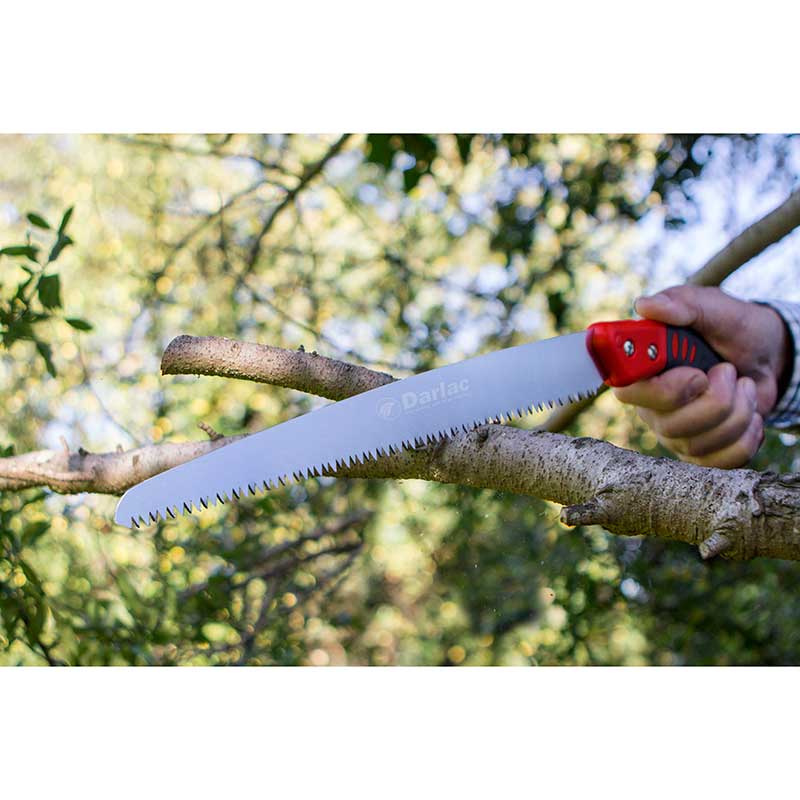 Saw Pruning