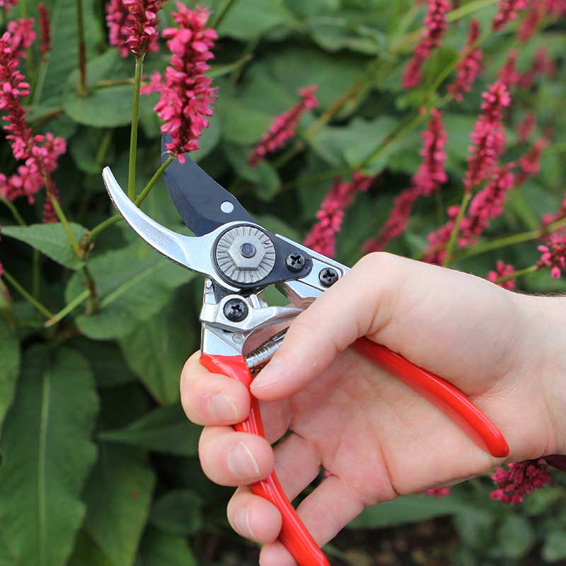 Pruner Bypass Small