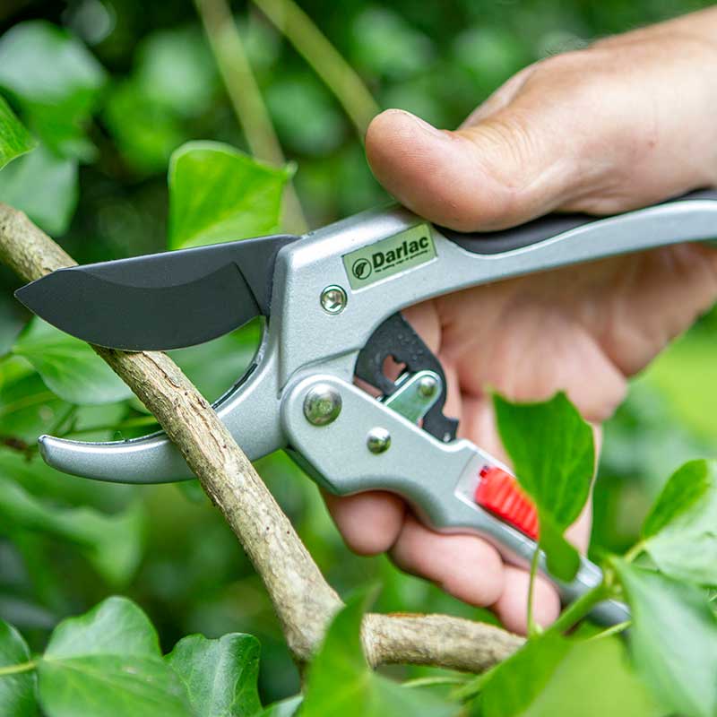 Pruner Ratchet Super Classic