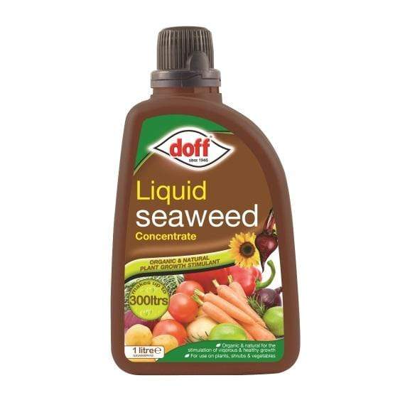 Liquid Seaweed 1L