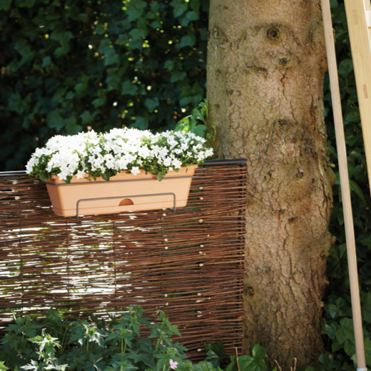 Green Basics Trough All in1 30cm Mild Terra | Cornwall Garden Shop | UK