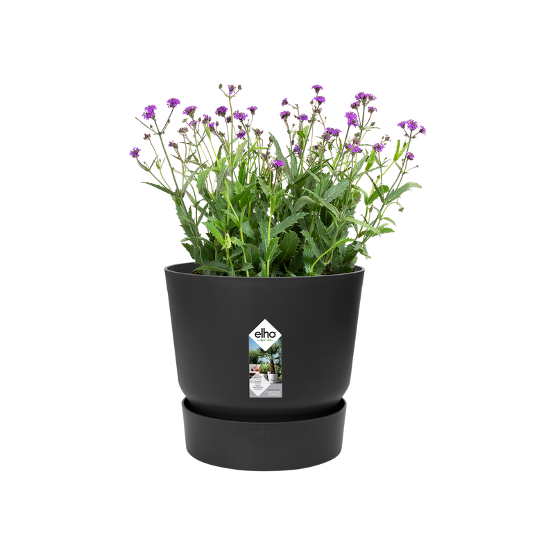 Greenville Round 14cm Living Black | Cornwall Garden Shop | UK