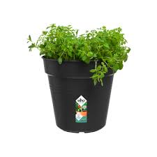 Green Basics Growpot 30cm LIVING BLACK