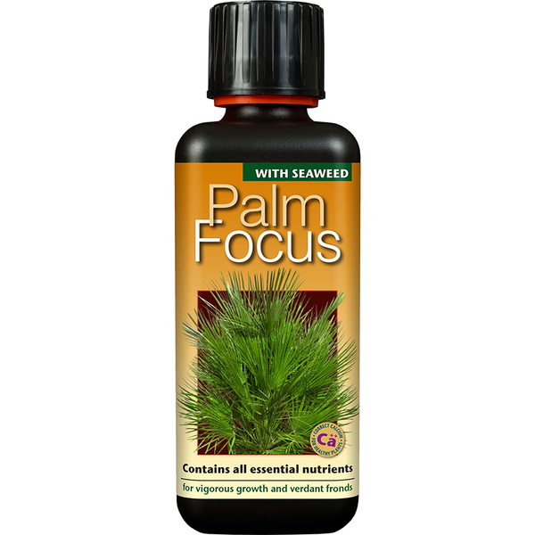 Palm Focus Concentrate 300ml