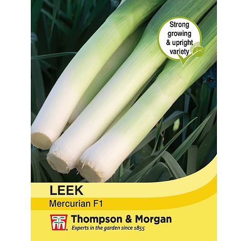 Leek Mercurian F1 Seeds