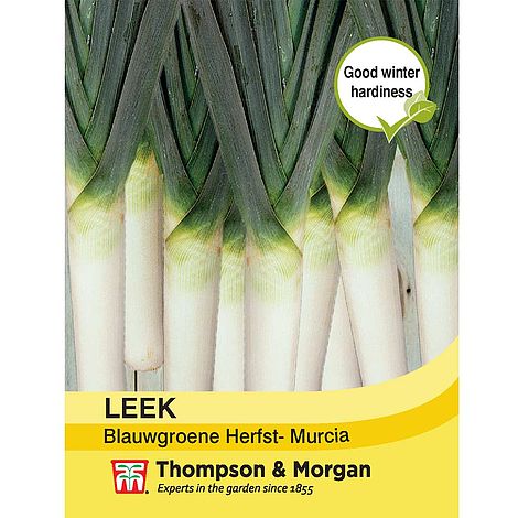 Leek Blauwgroene Herfst-Murcia Seeds