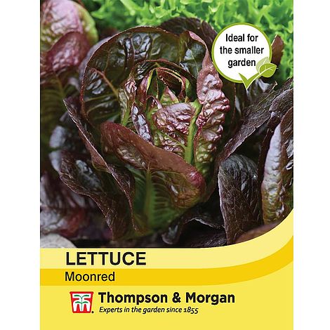 Lettuce Moonred Seeds