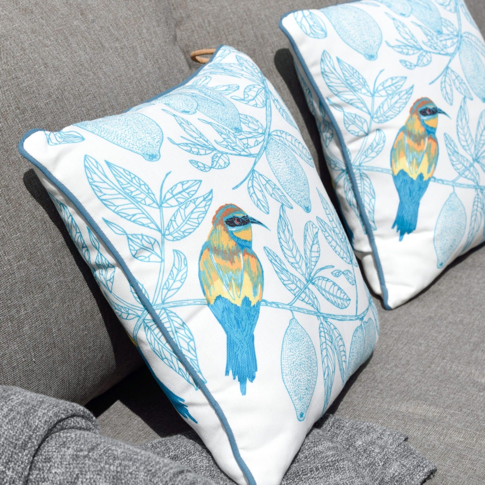 Eden Scatter Cushion BeeEater | Cornwall Garden Shop | UK