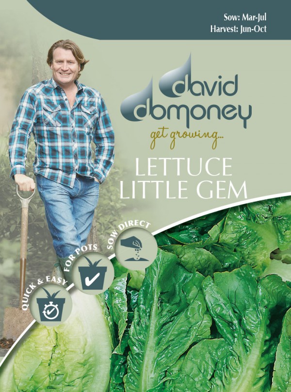 Little Gem Lettuce Seeds David Domoney