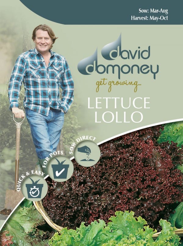 Lollo Lettuce Seeds David Domoney