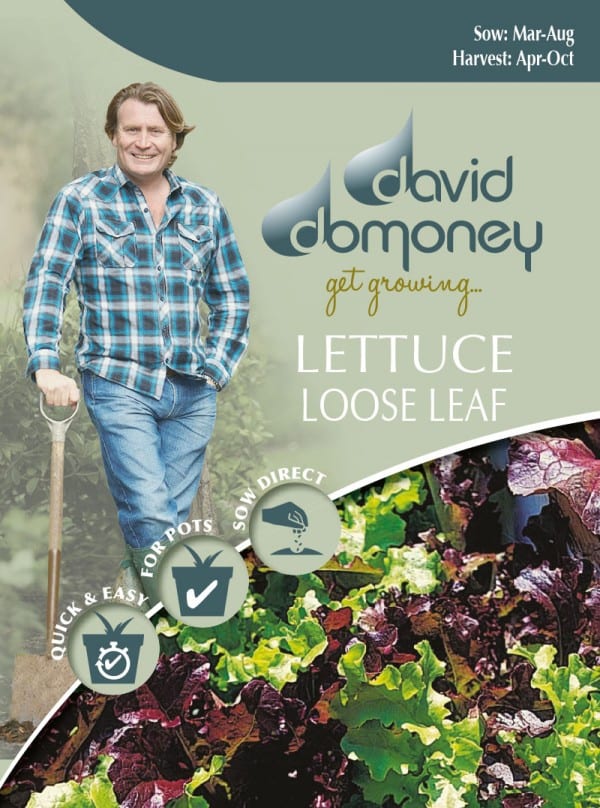 Loose Leaf Lettuce Seeds David Domoney