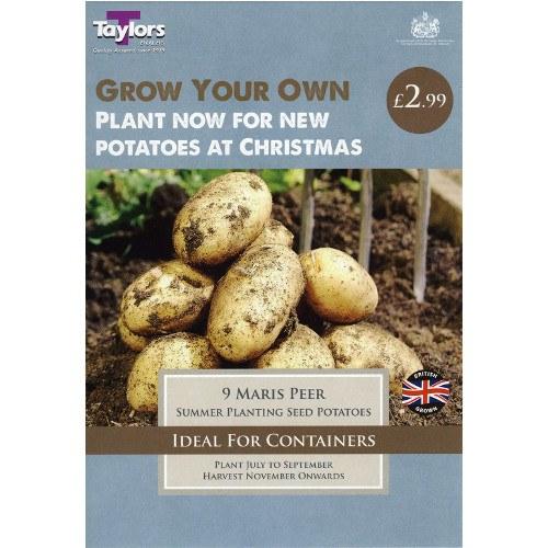 Maris Peer Second Early Seed Potatoes (9)