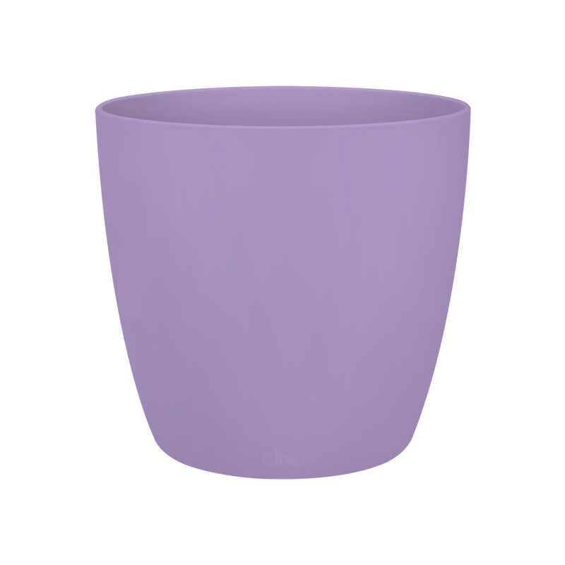 Brussels Round Mini 7cm Indoor Pot Violet