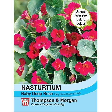 Nasturtium Baby Deep Rose Flower Seeds