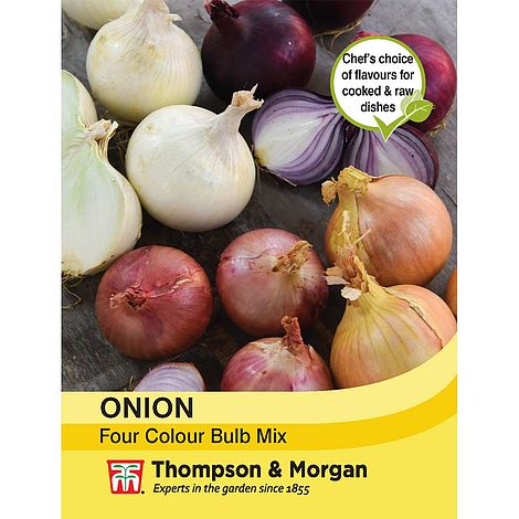 Onion Four Colour Bulb Mix Seeds