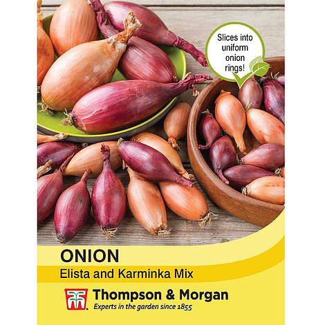 Onion Elisa and Karminka Mix Seeds