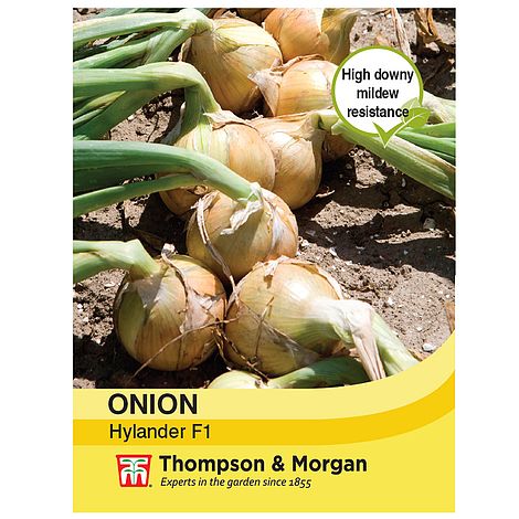 Onion Hylander F1 Seeds