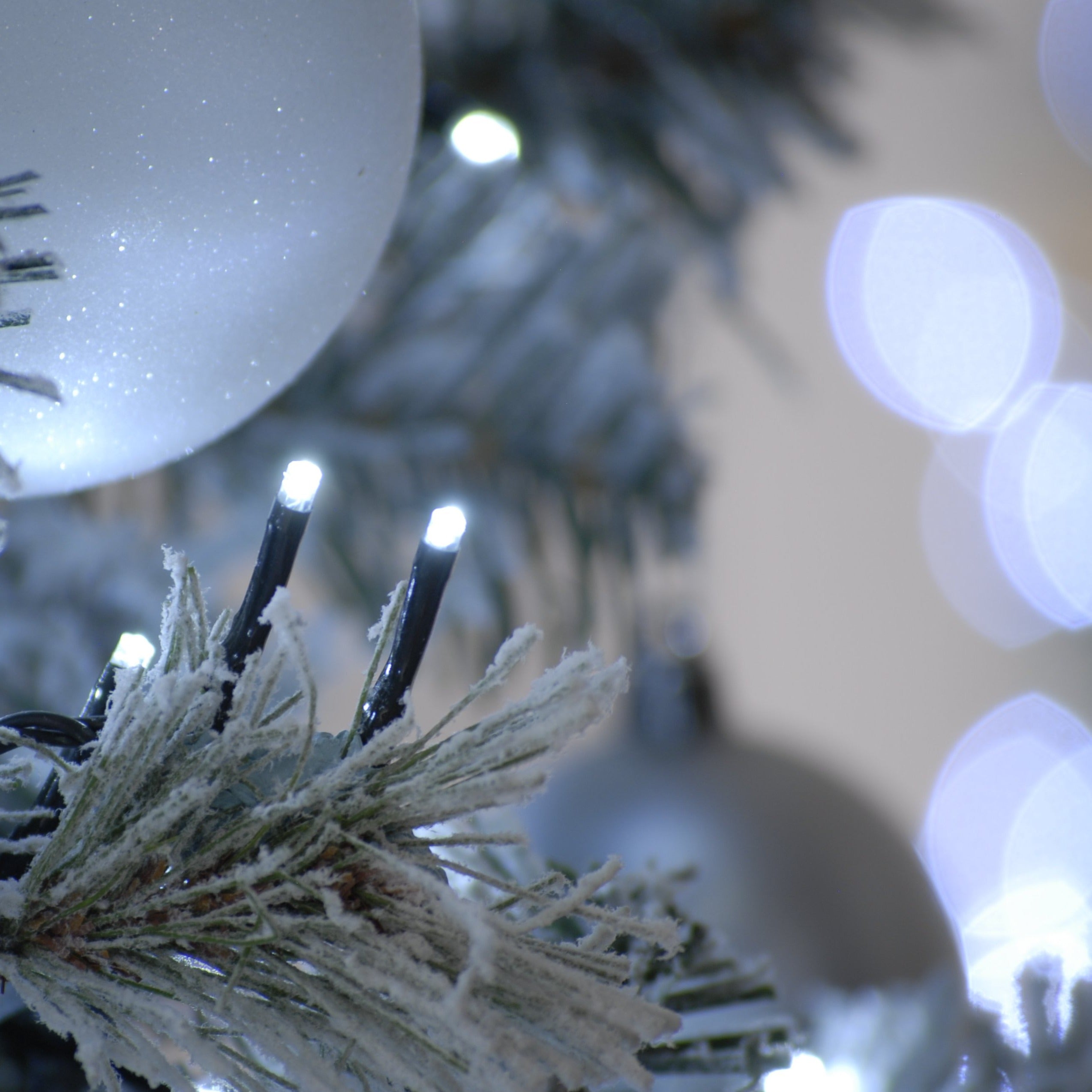 520 Sparkle String Lights - White | Cornwall Garden Shop | UK