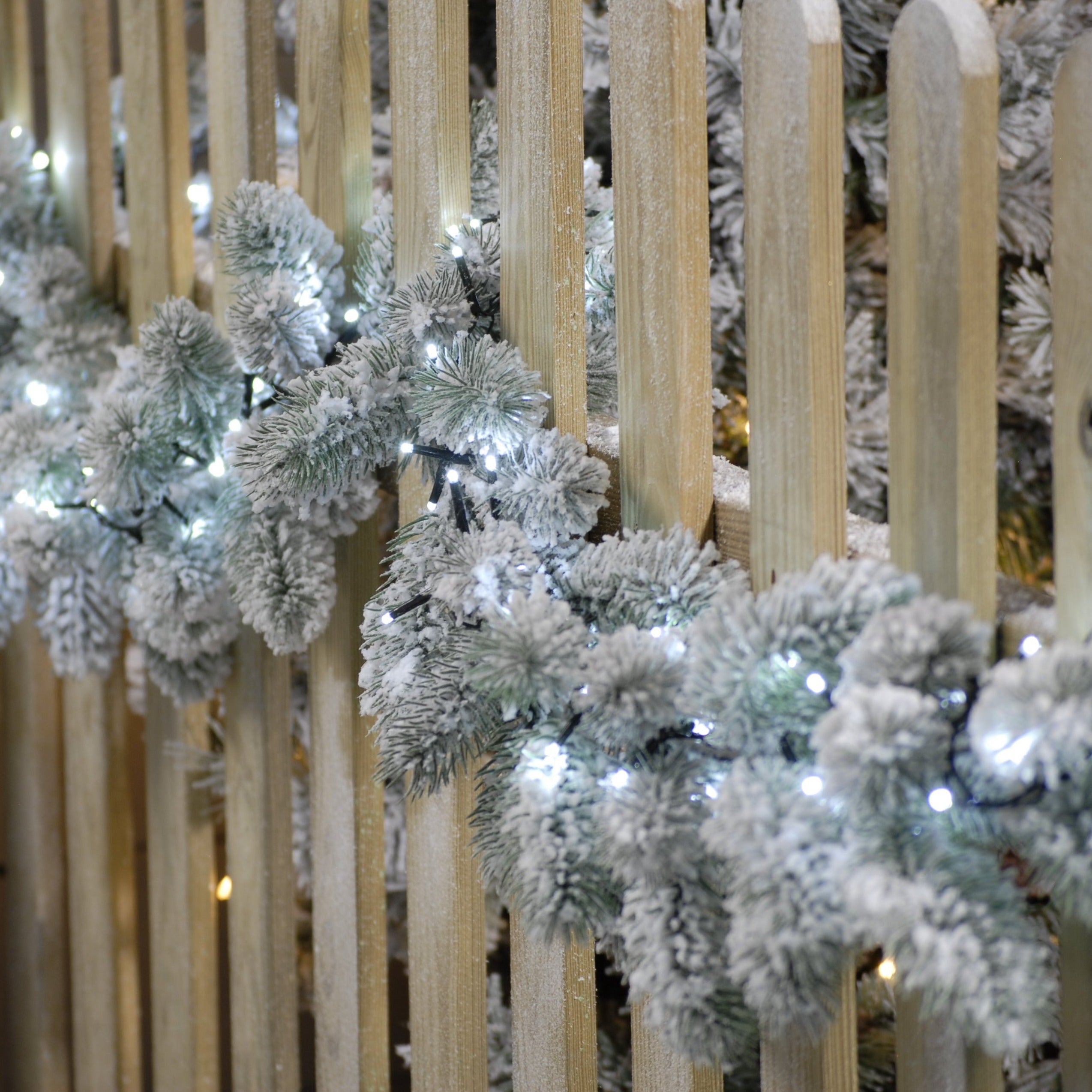 520 Sparkle String Lights - White | Cornwall Garden Shop | UK